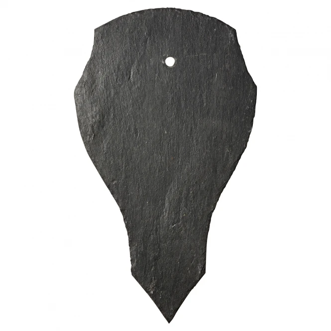 Pardur Trophy Fallow Deer 1 Pardur Trophy Fallow Deer