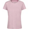 Regatta Women's Fingal Edition Marl T-Shirt (violet)