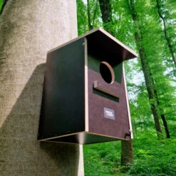 Swiss Hunt Forest Owl Nesting Box -Hunting Equipment Store swiss hunt forest owl nesting box 3